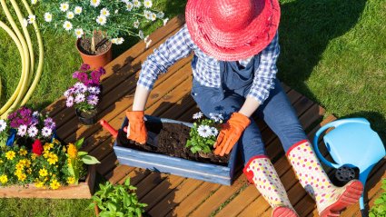 Et oma aeda võimalikult hästi harida, tasub appi võtta kasulikud ja inspireerivad aiaraamatud
